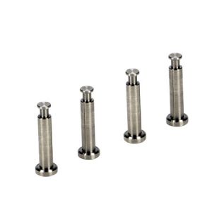 Hinge Pins 4 x 21mm, Titanium (4)