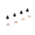 Bleeder Shock Cap Screw & Washer Set (4)