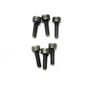 Screw, 2.5x8mm Socket Head (6)