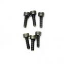 Screw, 2.5x8mm Socket Head (6)