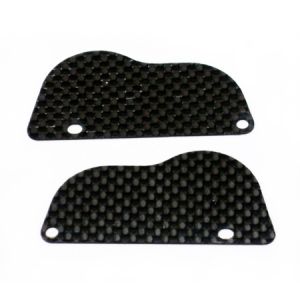 Carbon Fiber Rear Wheel Guards (2)